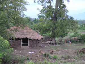 A hut where I interviewed the mother